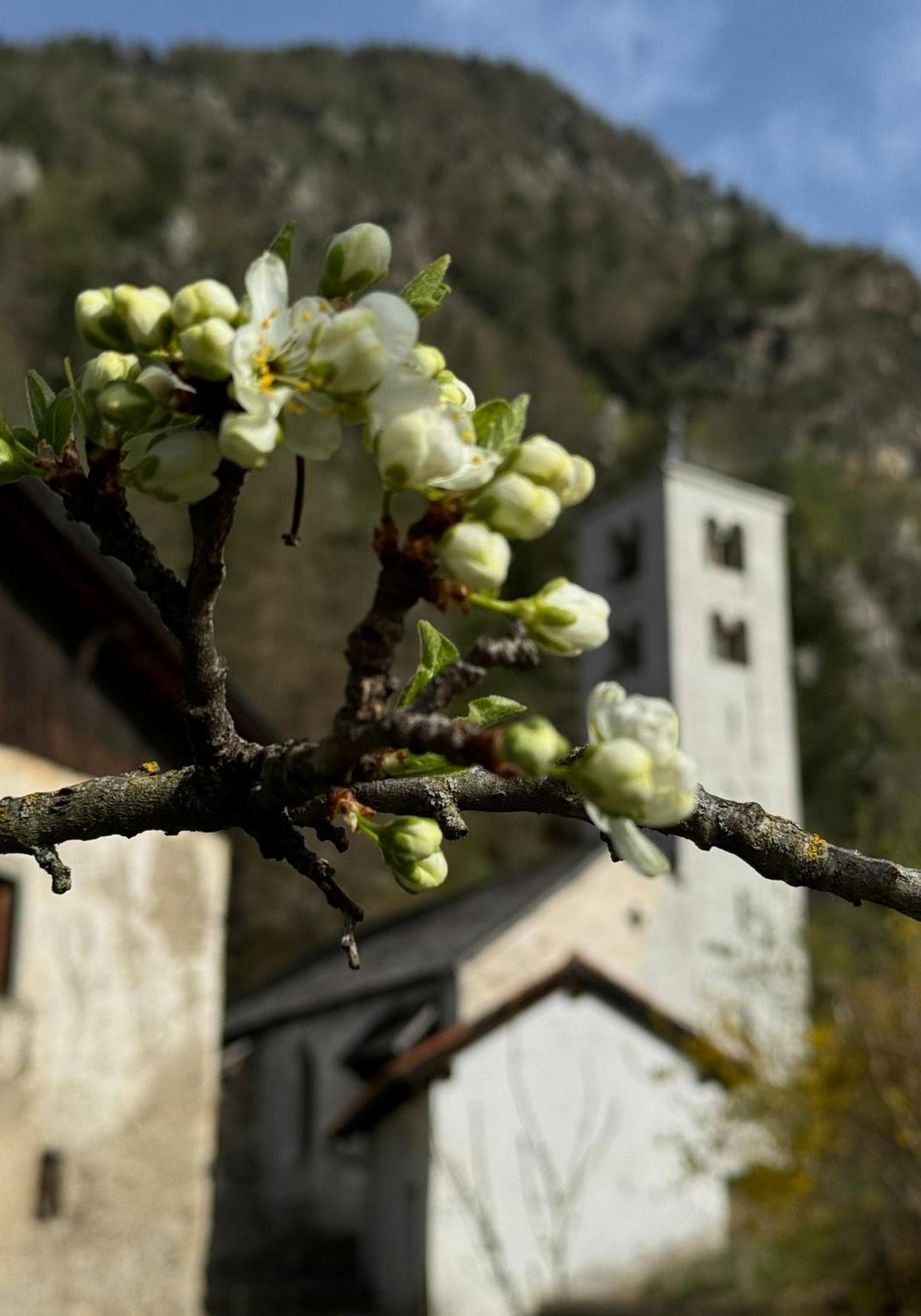 Ferienwohnungen Jojasa Laces Bagian luar foto