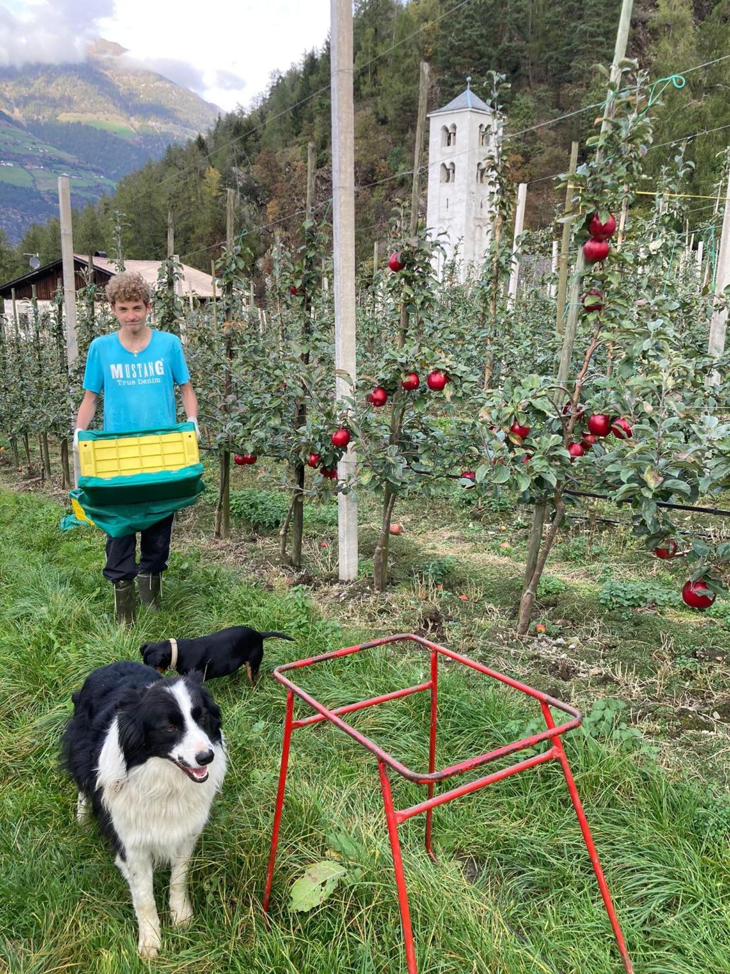 Ferienwohnungen Jojasa Laces Bagian luar foto
