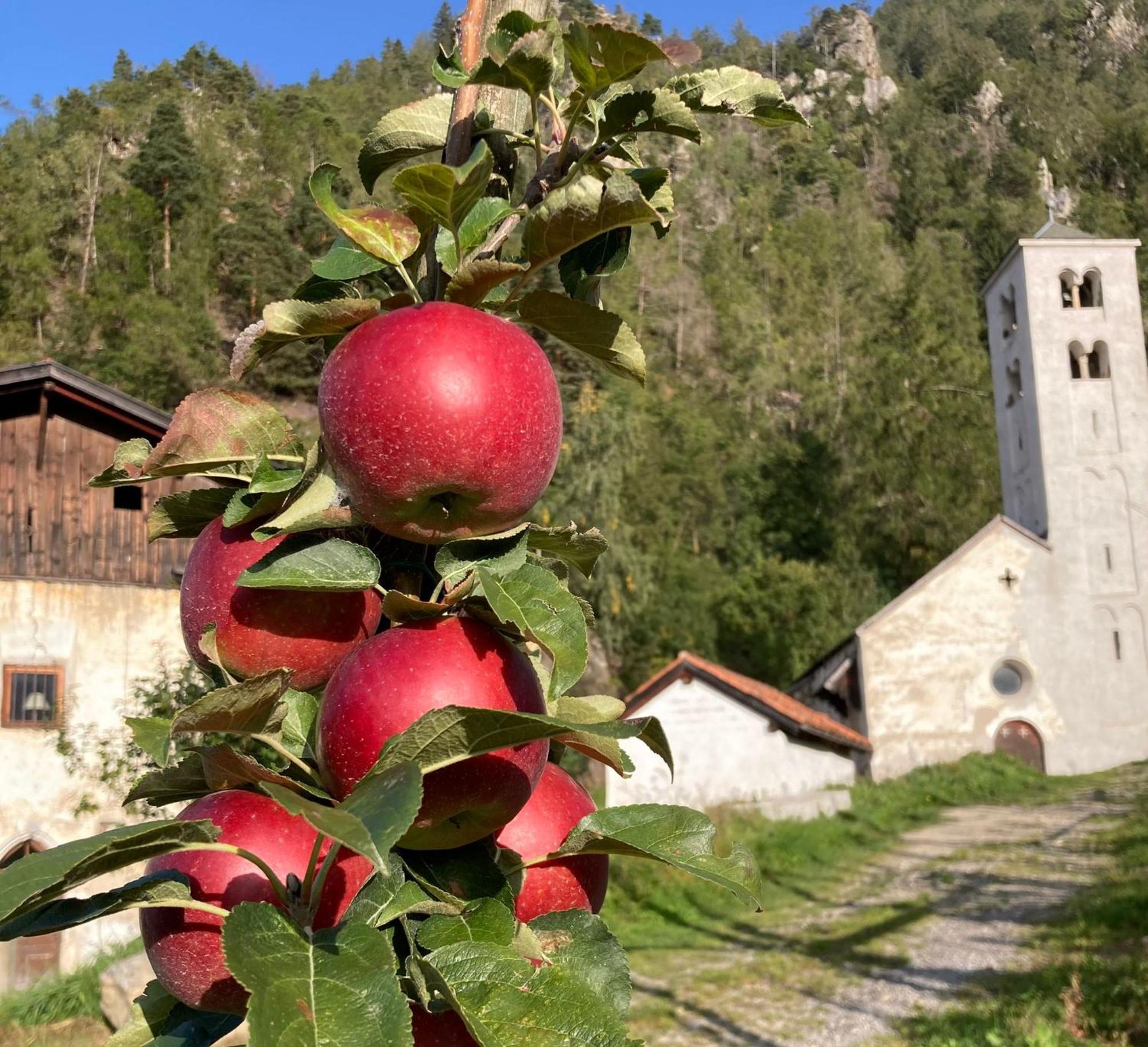 Ferienwohnungen Jojasa Laces Bagian luar foto