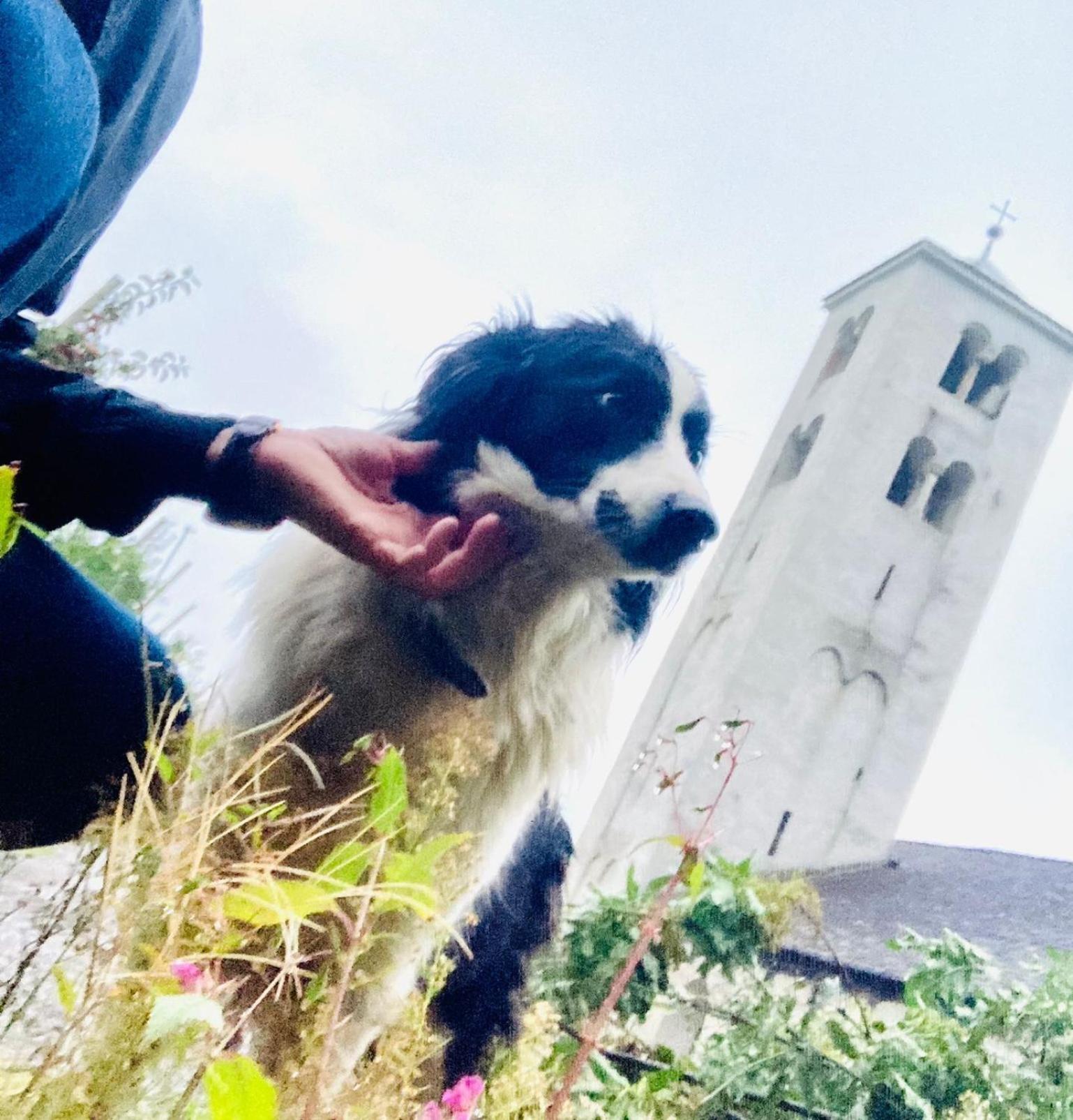 Ferienwohnungen Jojasa Laces Bagian luar foto