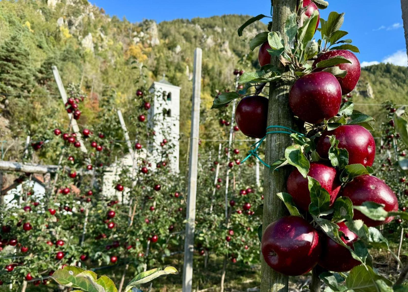 Ferienwohnungen Jojasa Laces Bagian luar foto
